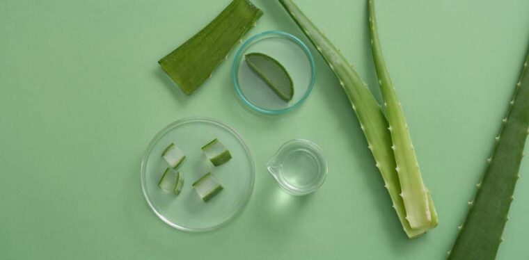 Mejores Geles Puros De Aloe Vera Blog Druni