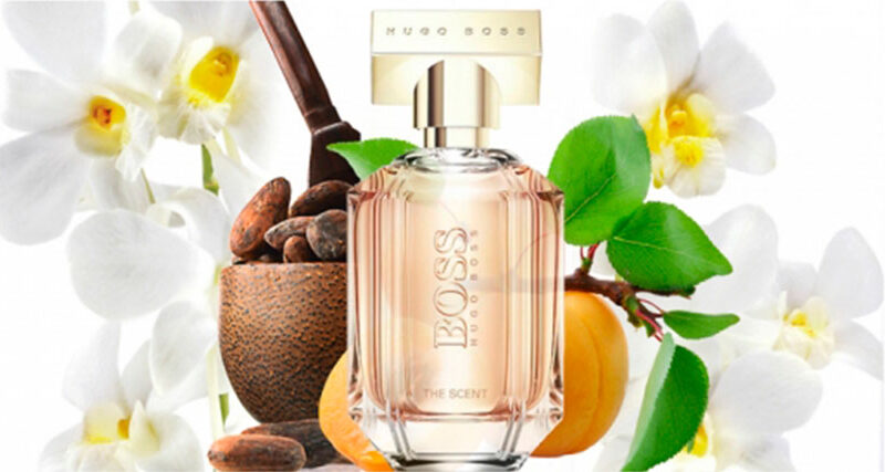 Los mejores perfumes Hugo Boss para hombre son ✓