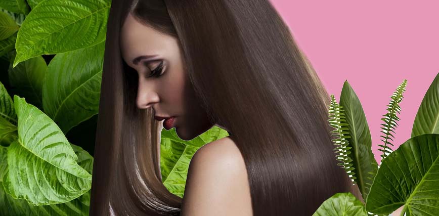 Keratina vegetal outlet para el cabello