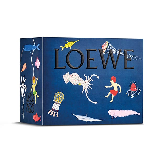 Estuche aire discount de loewe