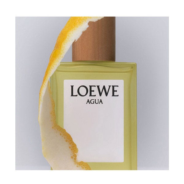 perfume loewe hombre druni