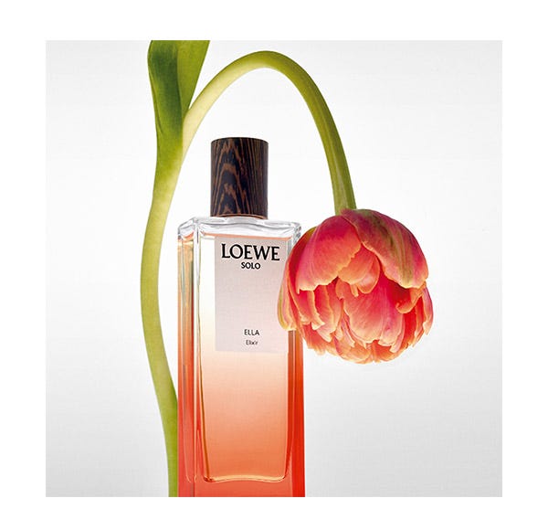 Solo ella discount loewe primor