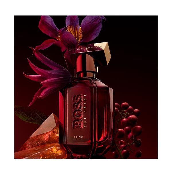 Hugo boss the scent druni hotsell