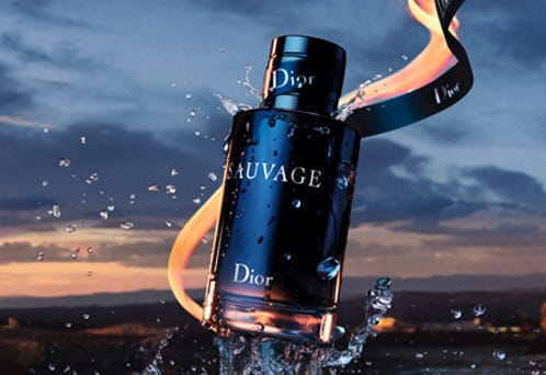 dior homme parfum druni